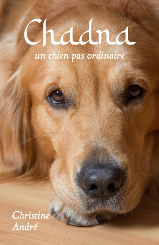 écrire un livre sur la réincarnation chez les animaux de compagnie