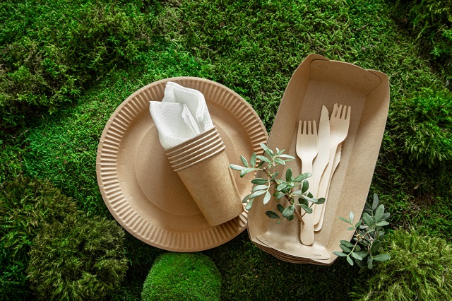 vaisselle jetable