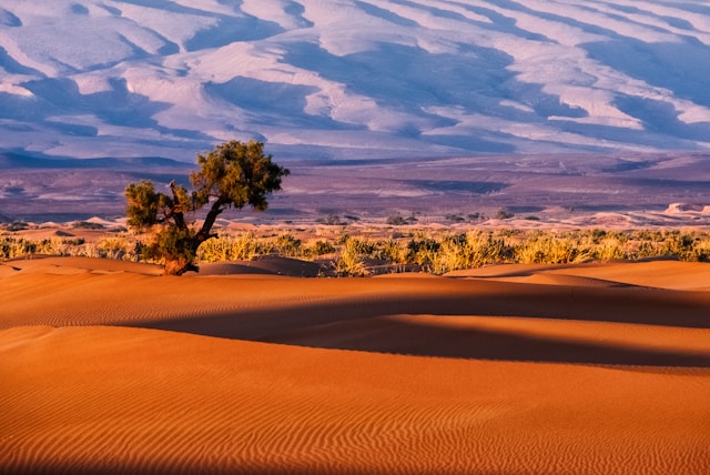 Déserts d’Afrique